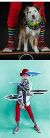 Juggler and His Dog